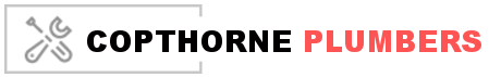 Plumbers Copthorne logo